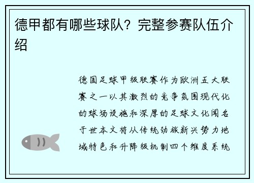 德甲都有哪些球队？完整参赛队伍介绍