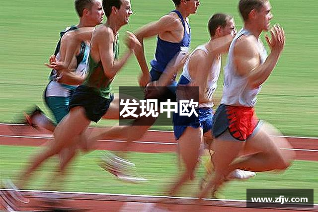 发现中欧